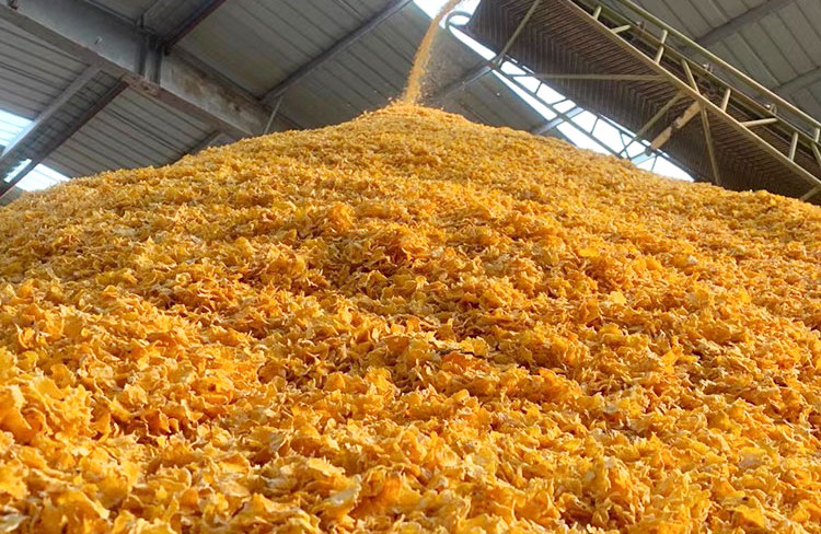 玉米壓片機(jī)有必要采用適當(dāng)?shù)姆勒鸹A(chǔ)