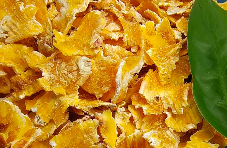 為什么蒸汽壓片玉米比同等飼料更有優(yōu)勢